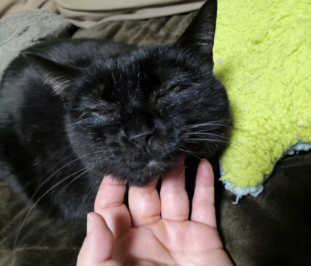 f:id:hiraryo0201:20200120140152j:plain f:id:hiraryo0201:20200120140152j:plain