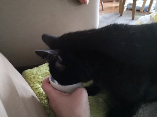 f:id:hiraryo0201:20200120140208j:plain f:id:hiraryo0201:20200120140208j:plain