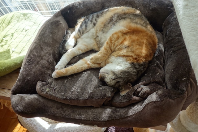 f:id:hiraryo0201:20200128230151j:plain f:id:hiraryo0201:20200128230151j:plain