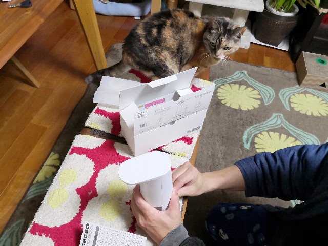 f:id:hiraryo0201:20200222013434j:image