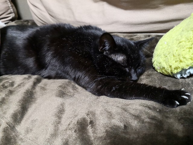 f:id:hiraryo0201:20200301235746j:image