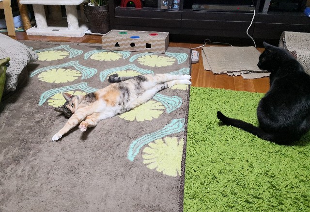 f:id:hiraryo0201:20200407194243j:plain f:id:hiraryo0201:20200407194243j:plain