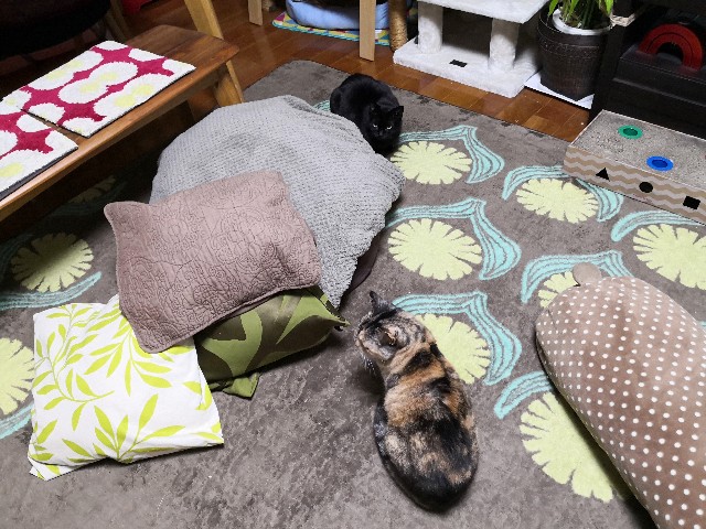 f:id:hiraryo0201:20200413104450j:plain f:id:hiraryo0201:20200413104450j:plain