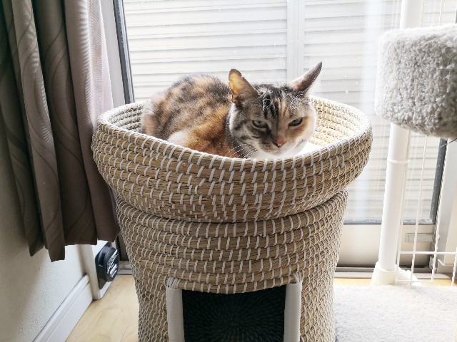 f:id:hiraryo0201:20200427225406j:image f:id:hiraryo0201:20200427225406j:image