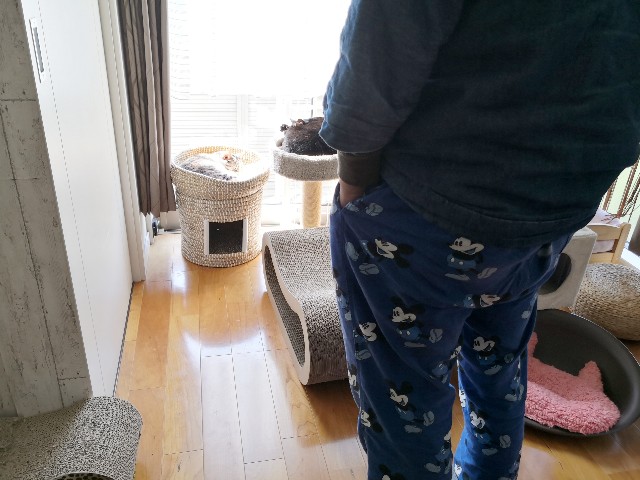 f:id:hiraryo0201:20200427225522j:image f:id:hiraryo0201:20200427225522j:image