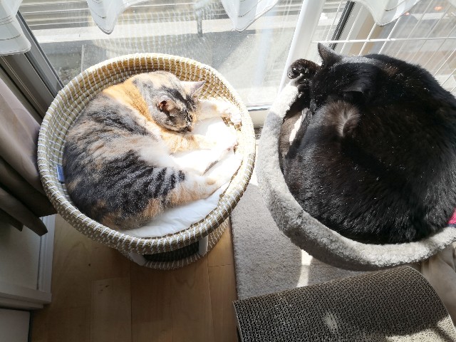 f:id:hiraryo0201:20200427225540j:image f:id:hiraryo0201:20200427225540j:image