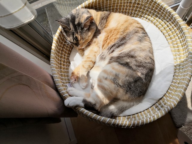 f:id:hiraryo0201:20200427225620j:image f:id:hiraryo0201:20200427225620j:image