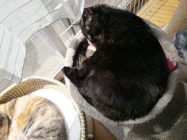 f:id:hiraryo0201:20200427225636j:image f:id:hiraryo0201:20200427225636j:image