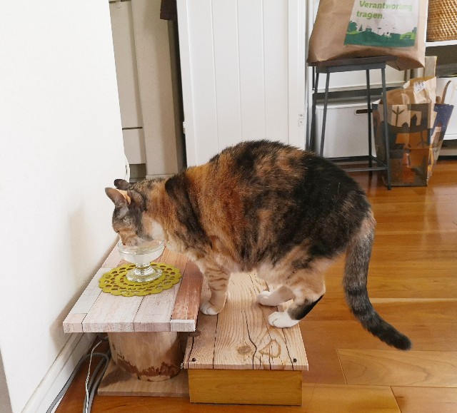 f:id:hiraryo0201:20200430201234j:plain f:id:hiraryo0201:20200430201234j:plain