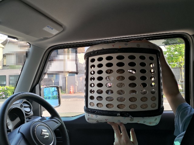 f:id:hiraryo0201:20200502173359j:image f:id:hiraryo0201:20200502173359j:image