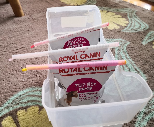 f:id:hiraryo0201:20200509085440j:image