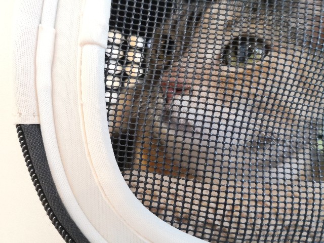 f:id:hiraryo0201:20200509211321j:image