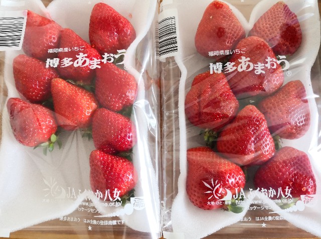 f:id:hiraryo0201:20200510124832j:image