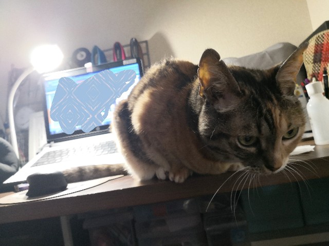 f:id:hiraryo0201:20200518193842j:image f:id:hiraryo0201:20200518193842j:image