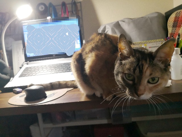 f:id:hiraryo0201:20200518193907j:image f:id:hiraryo0201:20200518193907j:image