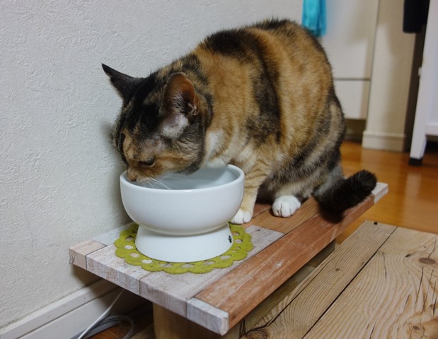 f:id:hiraryo0201:20200529222713j:plain f:id:hiraryo0201:20200529222713j:plain