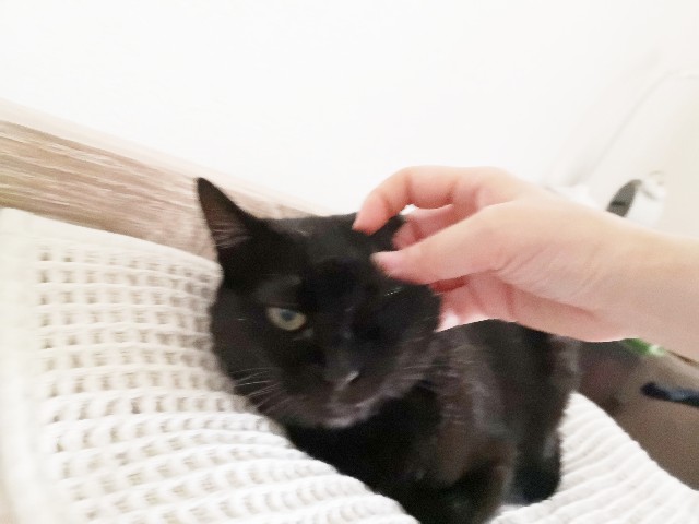 f:id:hiraryo0201:20200625071810j:image f:id:hiraryo0201:20200625071810j:image