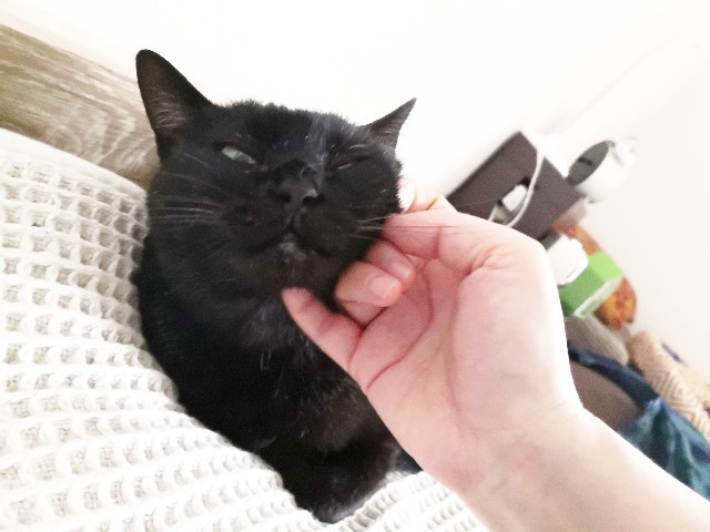 f:id:hiraryo0201:20200625071822j:image f:id:hiraryo0201:20200625071822j:image