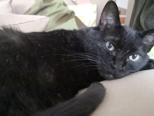 f:id:hiraryo0201:20200625072037j:image f:id:hiraryo0201:20200625072037j:image