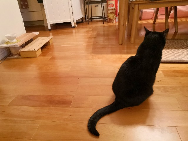 f:id:hiraryo0201:20200706072247j:image f:id:hiraryo0201:20200706072247j:image