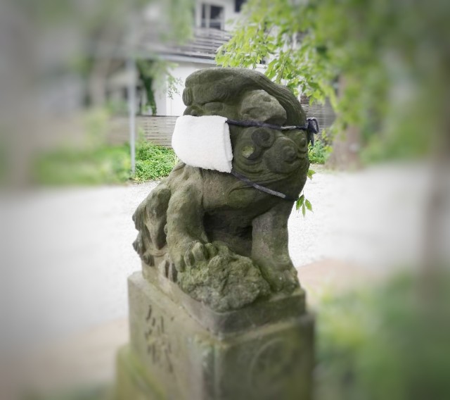 f:id:hiraryo0201:20200718171144j:plain f:id:hiraryo0201:20200718171144j:plain