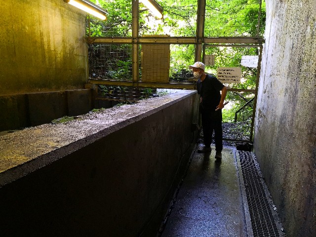 f:id:hiraryo0201:20200802181445j:image