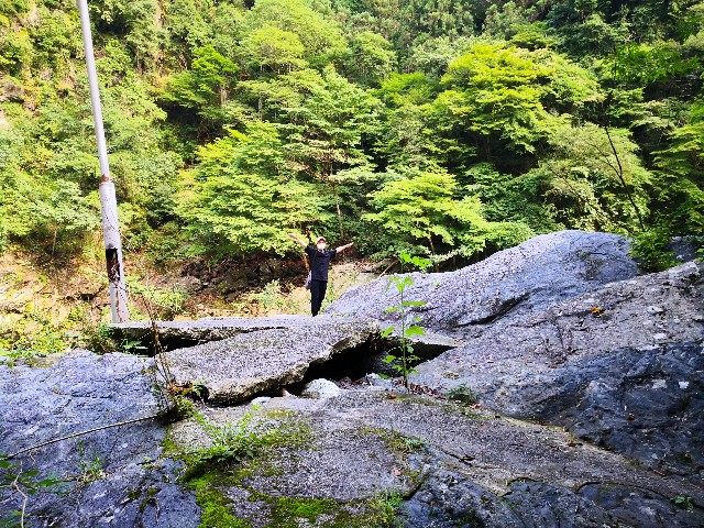 f:id:hiraryo0201:20200802181720j:image