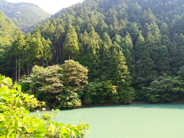 f:id:hiraryo0201:20200802183634j:image