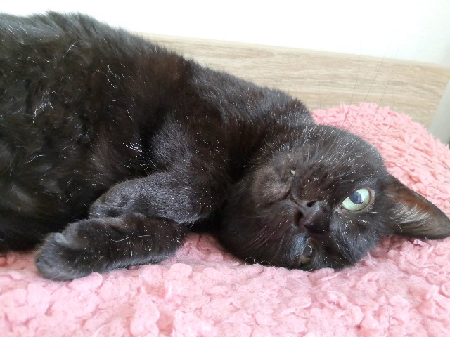 f:id:hiraryo0201:20200809104009j:image f:id:hiraryo0201:20200809104009j:image