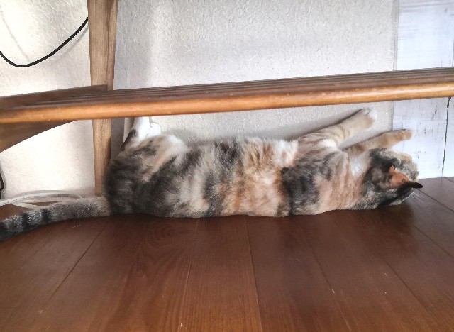 f:id:hiraryo0201:20200815000931j:image f:id:hiraryo0201:20200815000931j:image