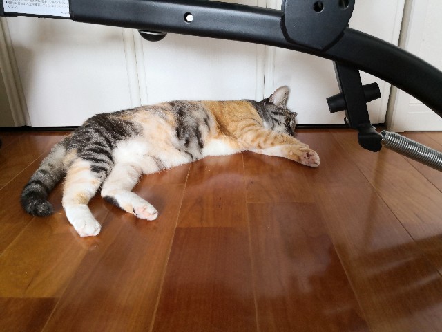 f:id:hiraryo0201:20200815001031j:image f:id:hiraryo0201:20200815001031j:image