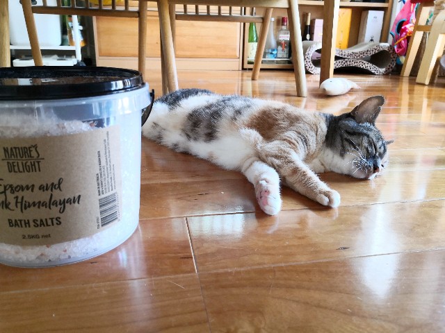 f:id:hiraryo0201:20200815141540j:plain