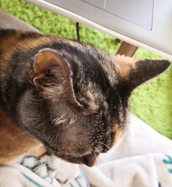 f:id:hiraryo0201:20200815205546j:image