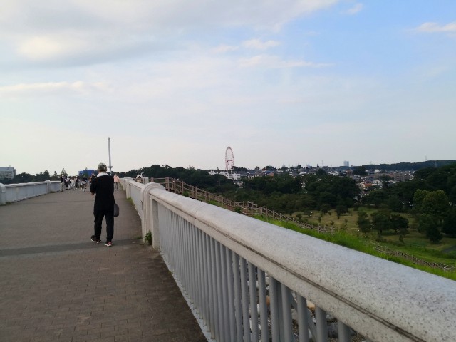 f:id:hiraryo0201:20200816194706j:plain f:id:hiraryo0201:20200816194706j:plain