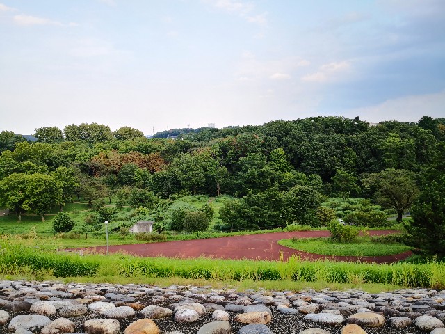 f:id:hiraryo0201:20200816194711j:image f:id:hiraryo0201:20200816194711j:image