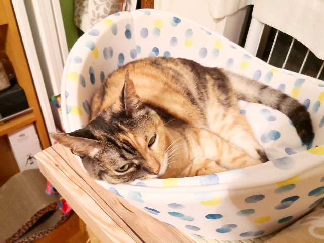 f:id:hiraryo0201:20200817131623j:image f:id:hiraryo0201:20200817131623j:image