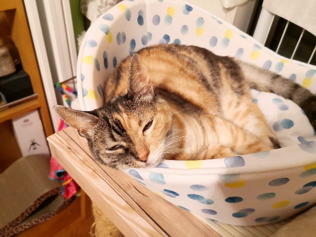 f:id:hiraryo0201:20200817131627j:image f:id:hiraryo0201:20200817131627j:image