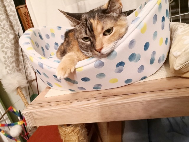 f:id:hiraryo0201:20200817131628j:image f:id:hiraryo0201:20200817131628j:image