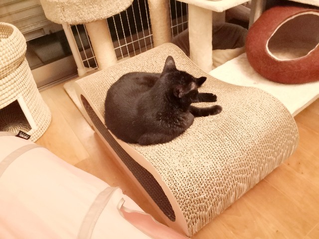 f:id:hiraryo0201:20200817131634j:image f:id:hiraryo0201:20200817131634j:image