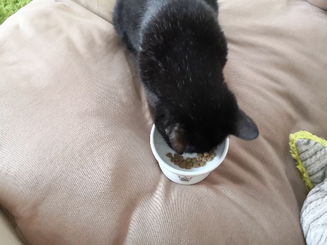 f:id:hiraryo0201:20200829134054j:image f:id:hiraryo0201:20200829134054j:image