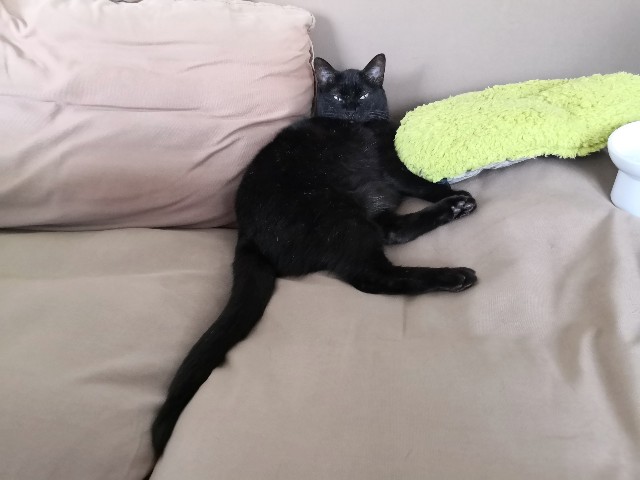 f:id:hiraryo0201:20200829134058j:image f:id:hiraryo0201:20200829134058j:image