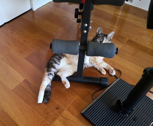 f:id:hiraryo0201:20200830144924j:image