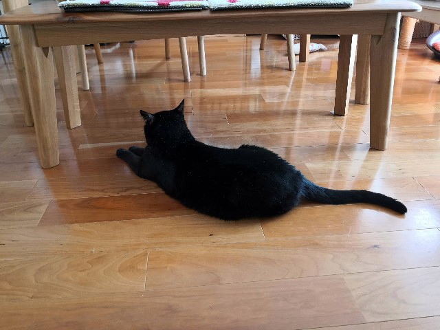 f:id:hiraryo0201:20200830144936j:image f:id:hiraryo0201:20200830144936j:image