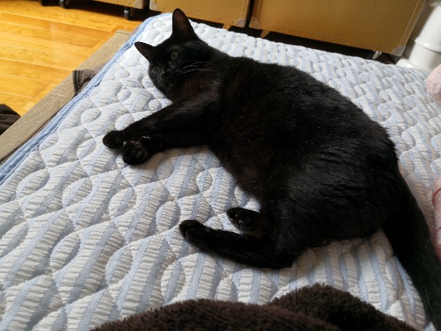 f:id:hiraryo0201:20200830145114j:image f:id:hiraryo0201:20200830145114j:image