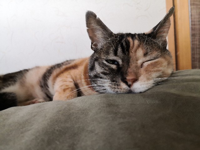 f:id:hiraryo0201:20200904182649j:image f:id:hiraryo0201:20200904182649j:image