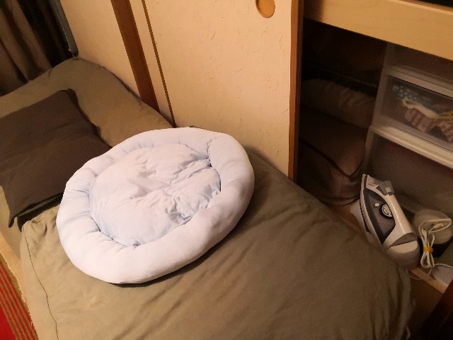 f:id:hiraryo0201:20200904182931j:image f:id:hiraryo0201:20200904182931j:image