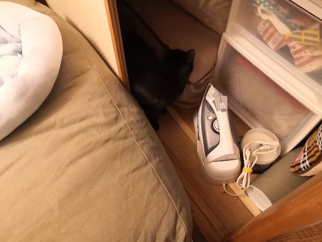 f:id:hiraryo0201:20200904182952j:image f:id:hiraryo0201:20200904182952j:image