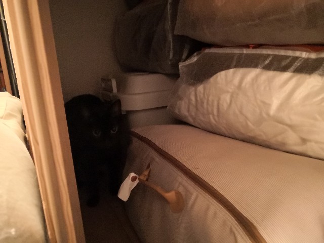 f:id:hiraryo0201:20200904183007j:image f:id:hiraryo0201:20200904183007j:image