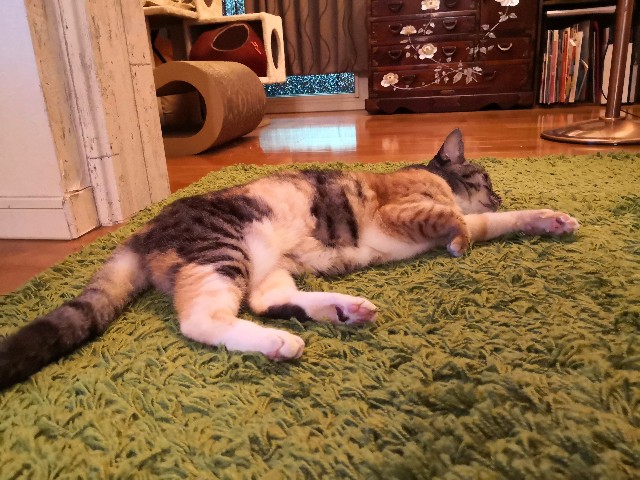 f:id:hiraryo0201:20200913000118j:image