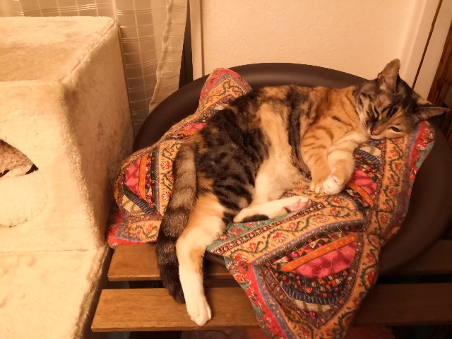 f:id:hiraryo0201:20200913000129j:image